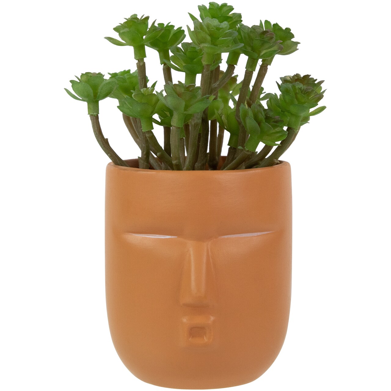 Northlight Mini Artificial Succulent in Face Planter Pot - 5.5"
